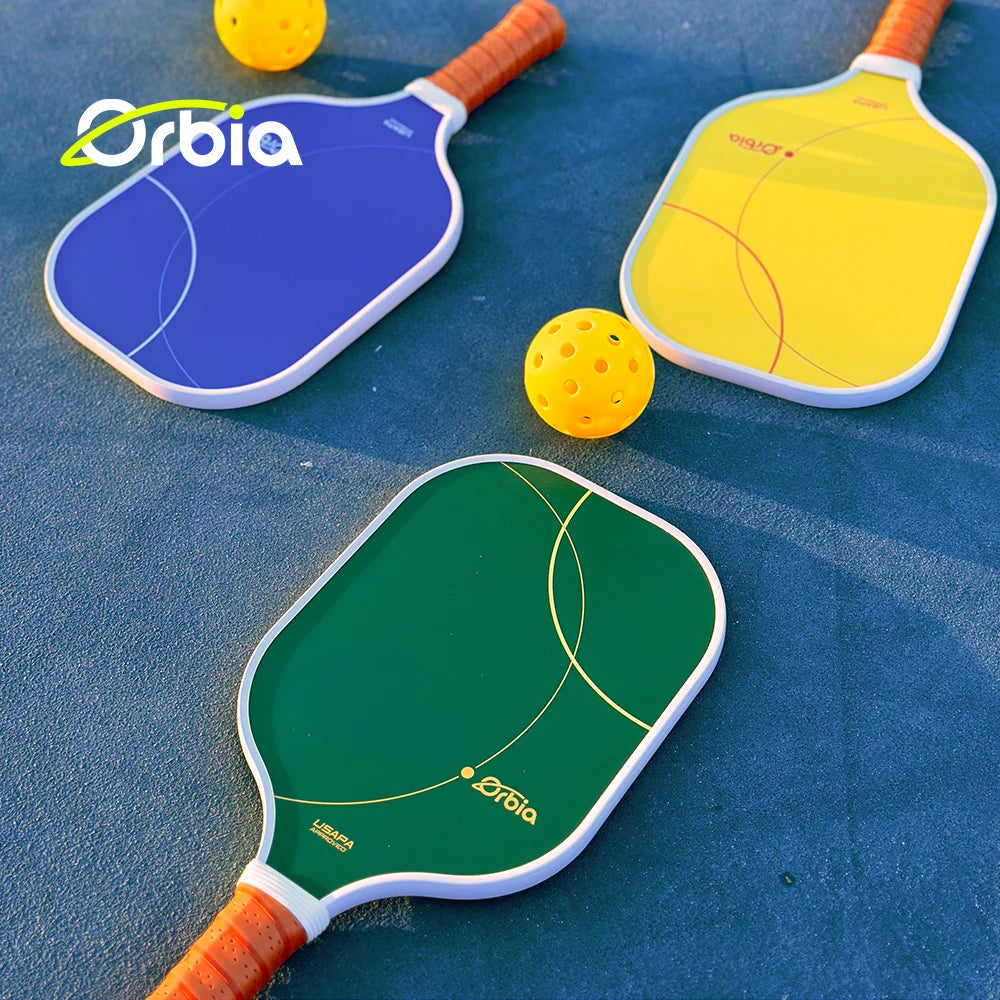 Set de 2 raquettes de Pickleball en fibre de verre, 4 balles et sac filet de transport, approuvé USAPA